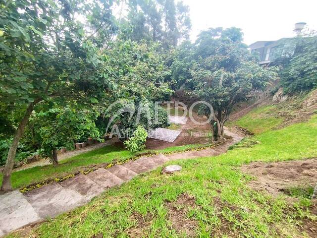 Local Comercial para Alquiler en Quito - 5