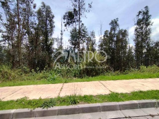 #1453 - Terreno para Venta en Quito - P