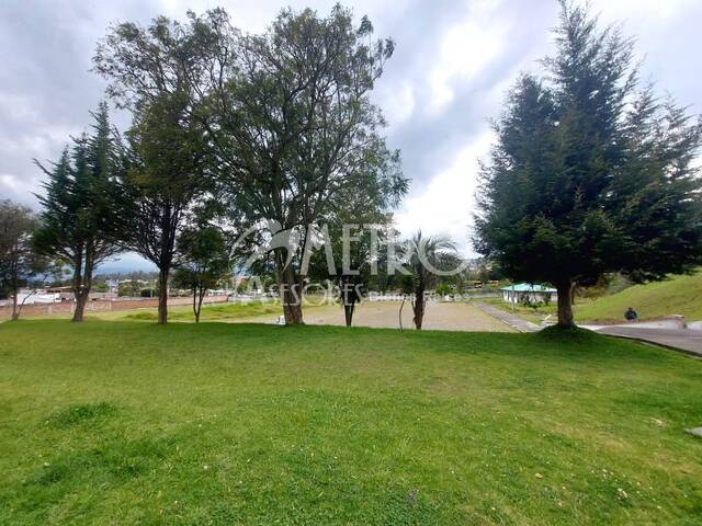 #1484 - Terreno para Venta en Quito - P