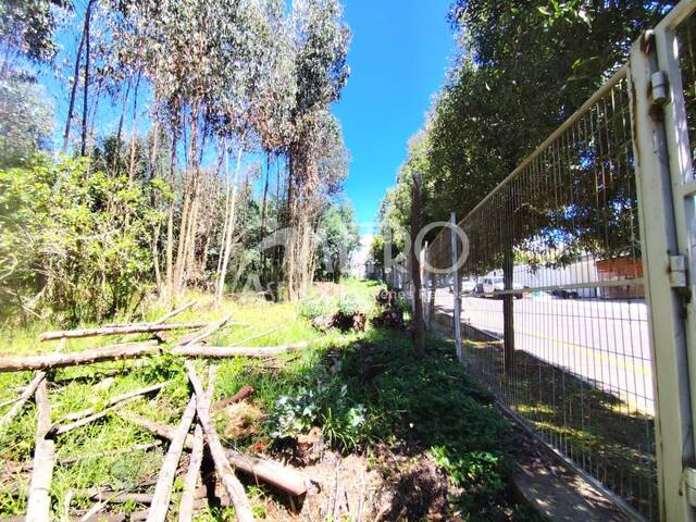 Terreno para Venta en Quito - 5