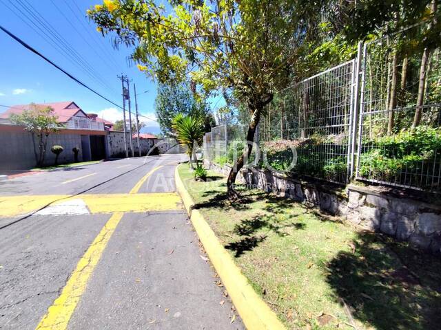#1504 - Terreno para Venta en Quito - P