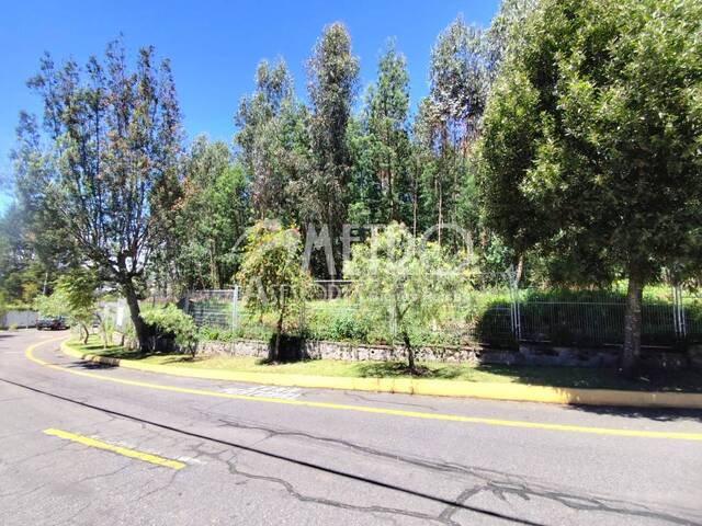 Terreno para Venta en Quito - 5