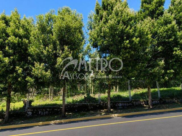 #1503 - Terreno para Venta en Quito - P