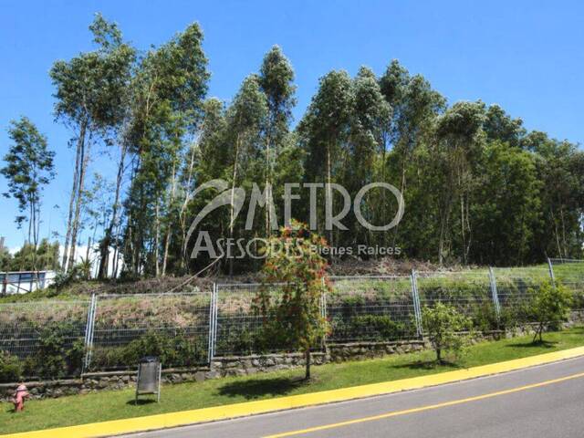 #1504 - Terreno para Venta en Quito - P
