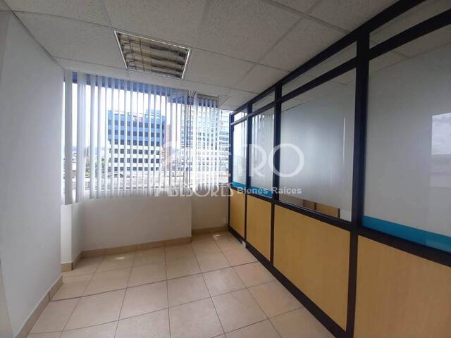 #1511 - Oficina para Alquiler en Quito - P