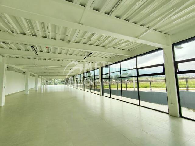 #1540 - Oficina para Alquiler en Quito - P
