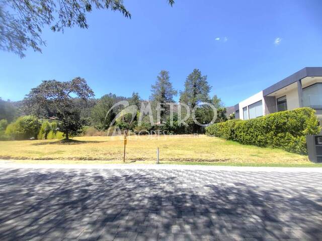 #1563 - Terreno para Venta en Quito - P