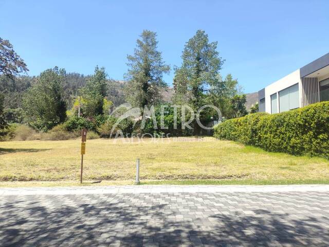 Terreno para Venta en Quito - 5