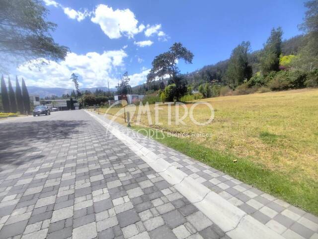 #1563 - Terreno para Venta en Quito - P