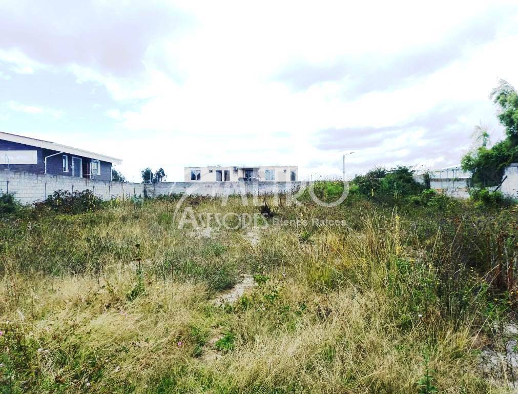 Terreno en alquiler 2.337m2 en Marianitas de Calderón