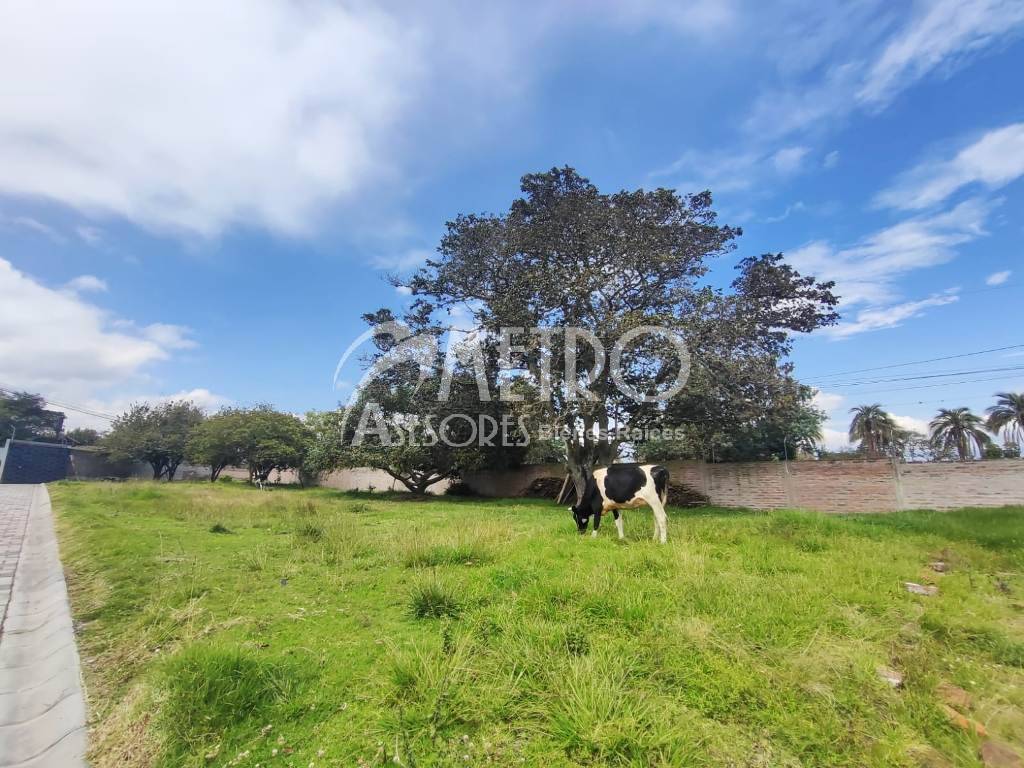 Terreno en venta 550 m2 en Puembo
